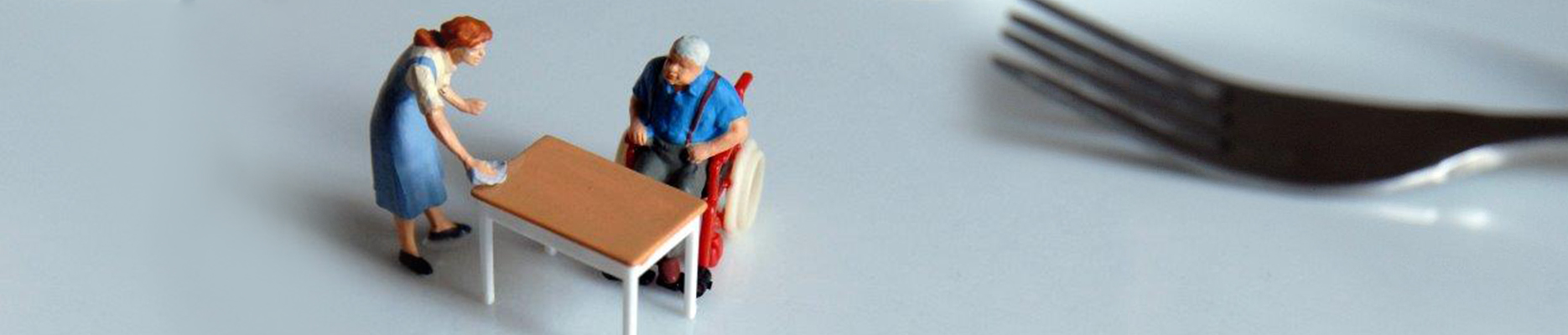 Service aide a la personne Ménage